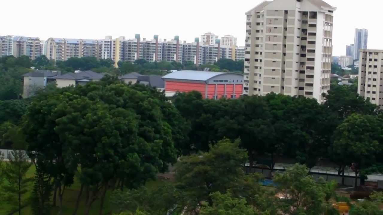 Trivelis DBSS Site video