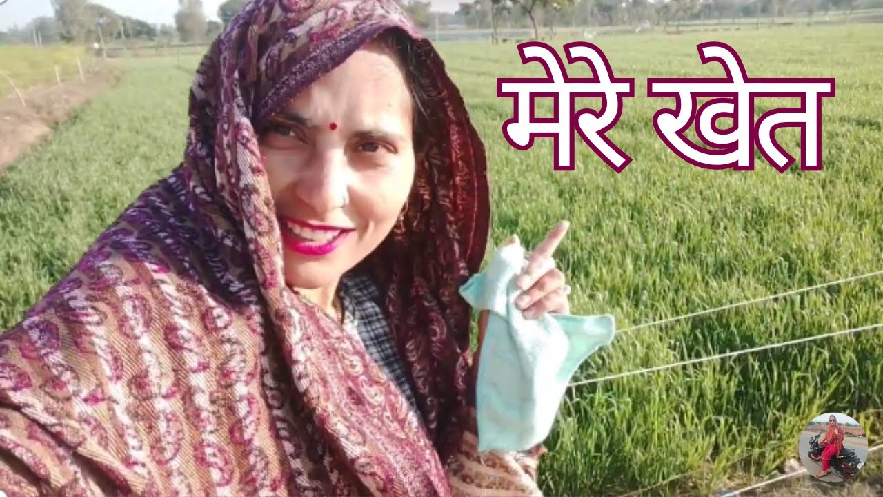 गाँव की ताजी हवा और मेरे लहलहाते खेत 🌾 | Village Life Vlog