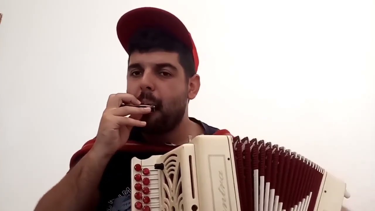 Luca Cocco all'organetto / Armonica e organetto / Passu torrau