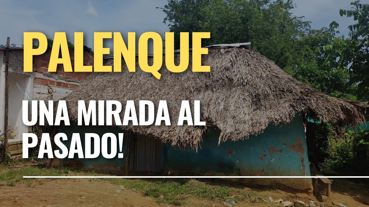 Palenque! Así eran las casas en el pedacito de África en Colombia!