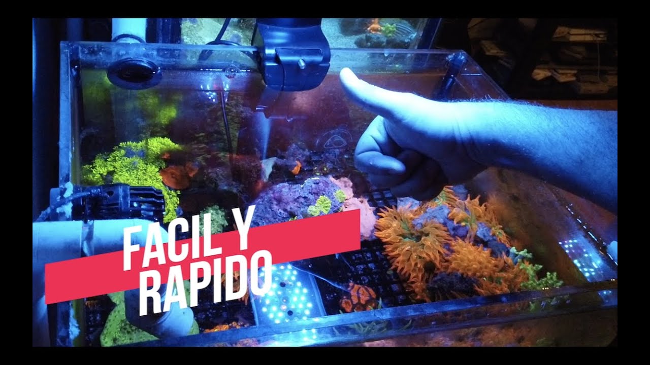 ELIMINA EL RUIDO DE TU ACUARIO||||||😉🐟🐠