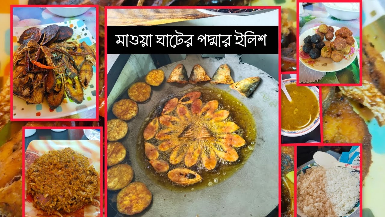 মাওয়া ঘাটের পর্দা ইলিশ||  পরিবারের সবাই মিলে একটা দিন মাওয়া ঘাটে কাটিয়ে আসলাম 😊