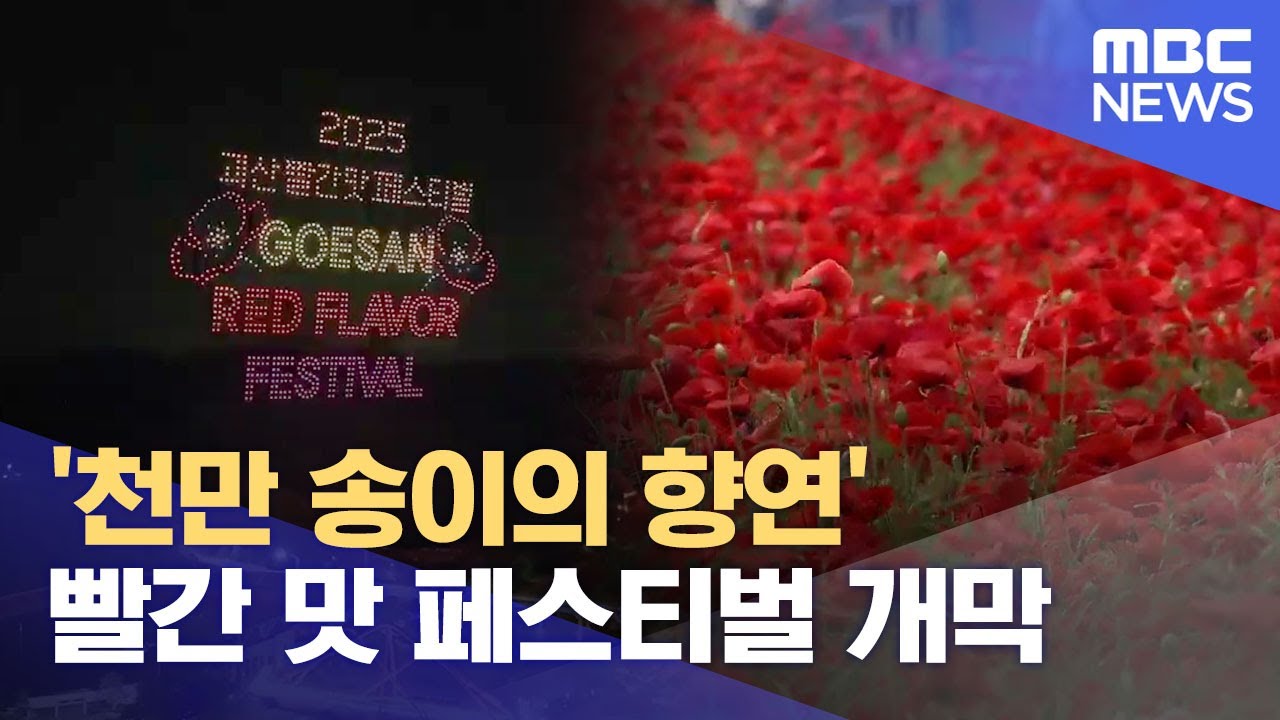 '천만 송이의 향연' 빨간 맛 페스티벌 개막 (2025.05.23/뉴스데스크/MBC충북)