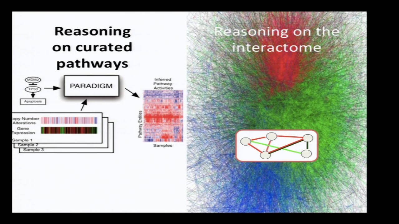 16. Protein Interaction Networks
