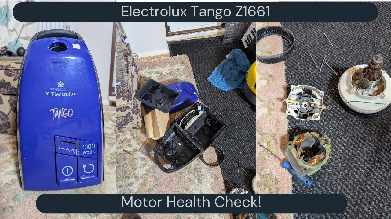 Electrolux Tango Z1661 - Checking the motor for a wierd sound.
