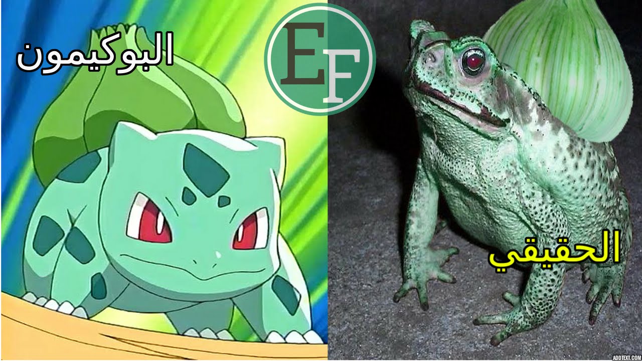 9 حيوانات حقيقية استوحيت منها شخصيات لعبة بوكيمون جو