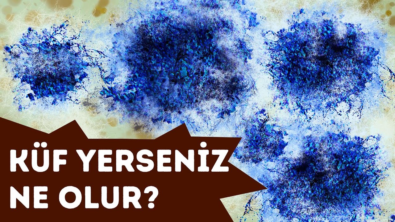 Yanlışlıkla Küf Yerseniz Ne Olur?