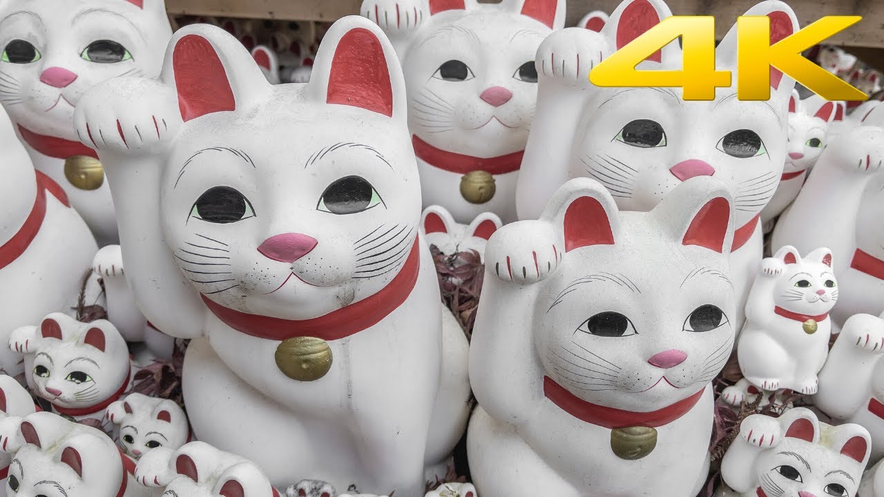 🎥 [4K 60fps] Discover Gotokuji Temple 😻 The Temple of Maneki Neko (Lucky Cats) in Tokyo, Japan
