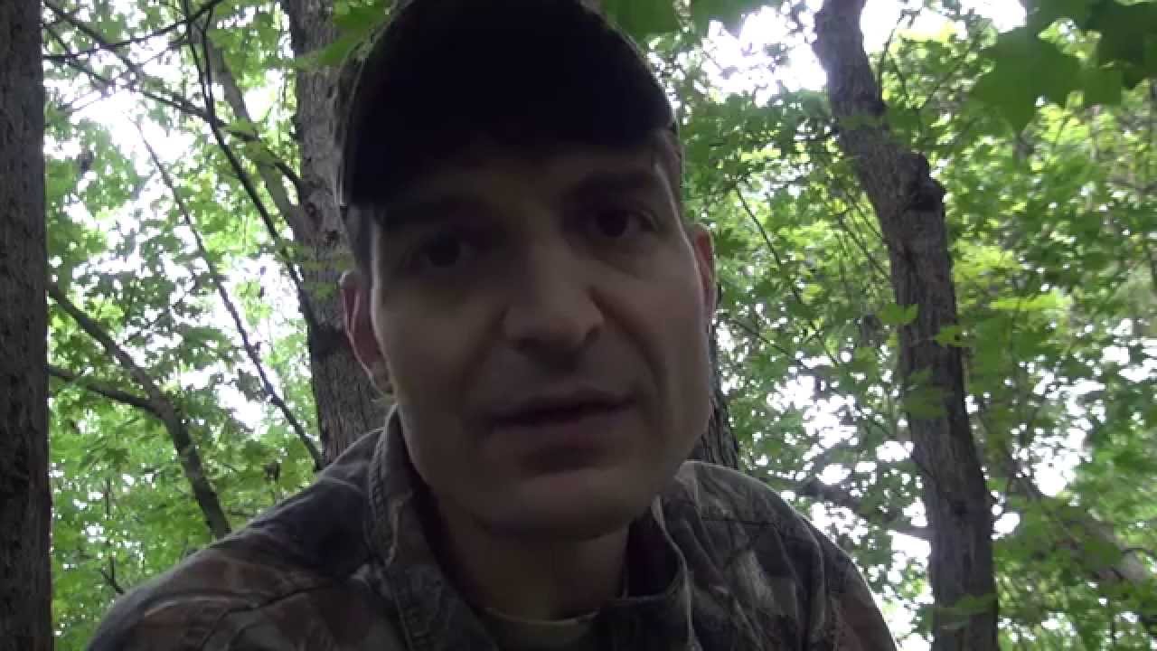 How to Scout and Hunt Deer