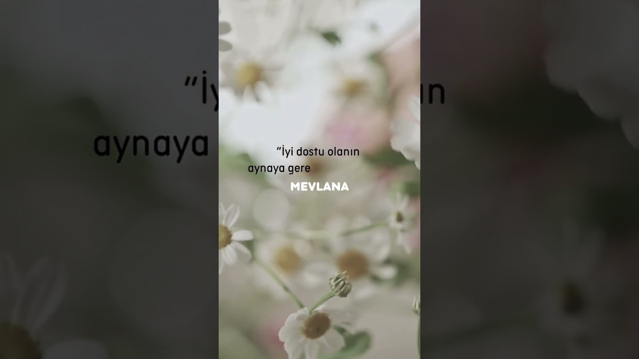 Dost 🌼💛 #arkadaş #dost #dostluk #mevlana #mevlanas&ouml;zleri