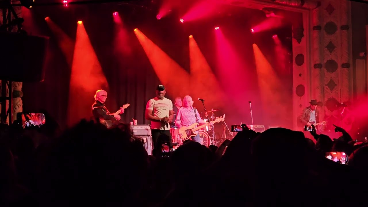 Howl Owl Howl - Losing My Religion (Live from The Metro in Chicago - 11/04/2025)