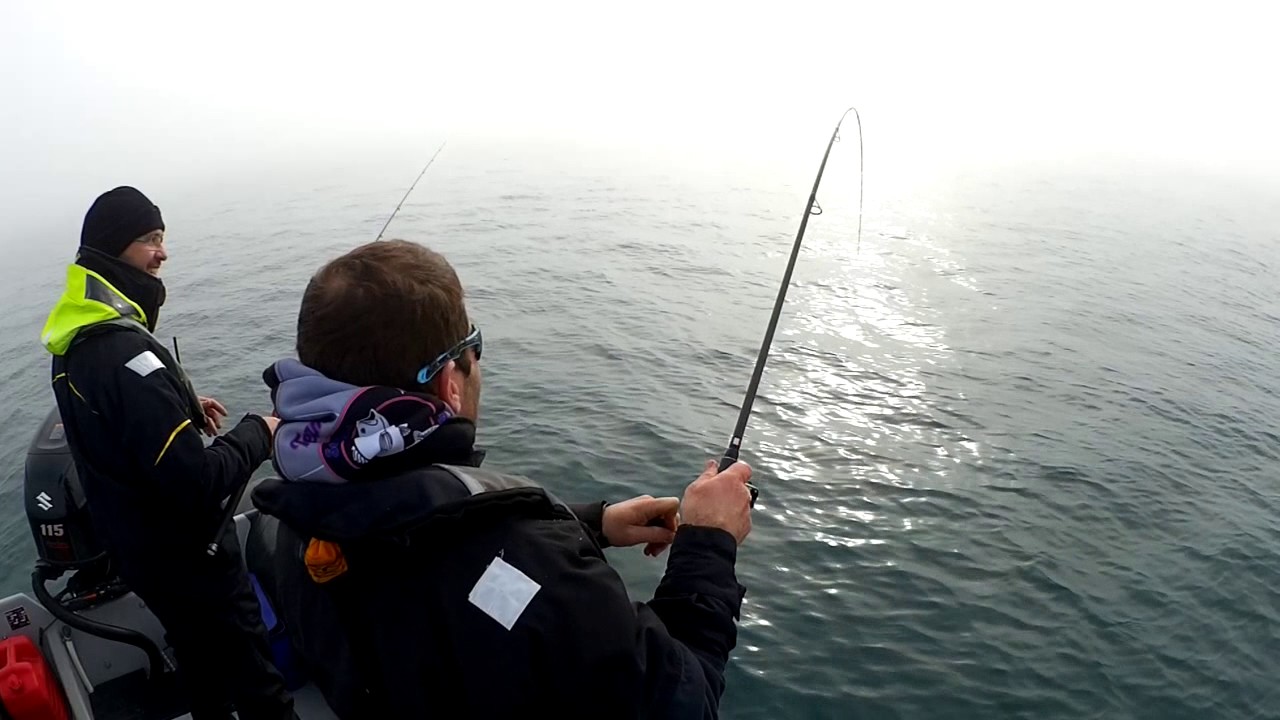 Pêche du lieu - Février 2017 - Bretagne Nord