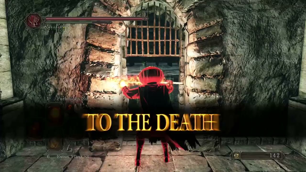DS2 PVP