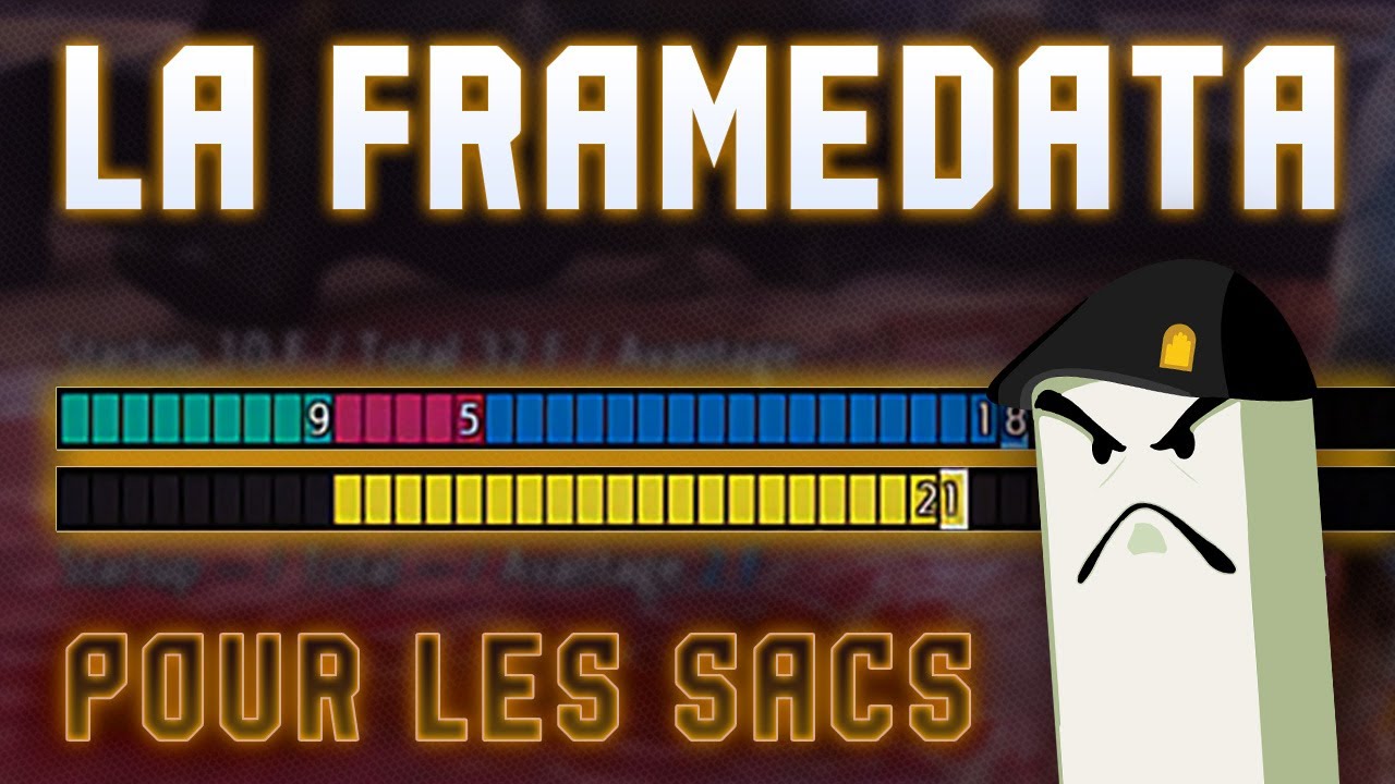 LA FRAMEDATA - POUR LES SAC