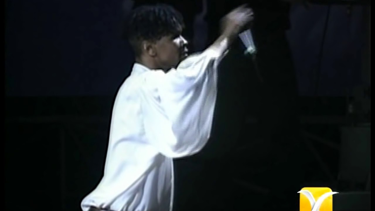 El general, Tu Te Ves Bien Buena, Festival de Viña 1993