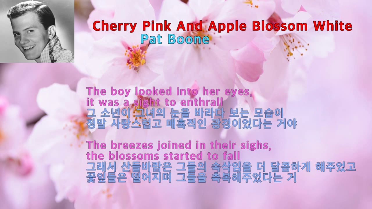 Cherry Pink And Apple Blossom White- Pat Boone(핑크색 벚꽃과 하얀 사과꽃-팻분)[가사 번역]