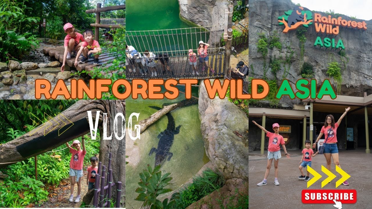 Experience Rainforest Wild Asia | Jungle Trekking & Wild Encounters