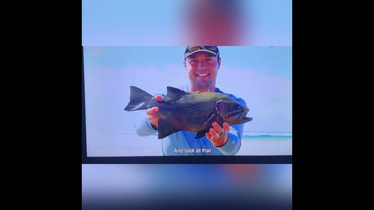 Reel Africa on Super Sport 207