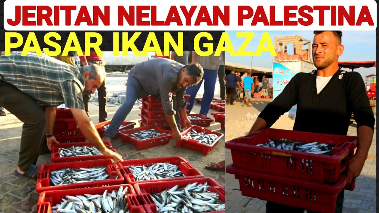 JER1TAN NELAYAN DAN KESIBUKAN ORANG PALESTINA DI PASAR IKAN