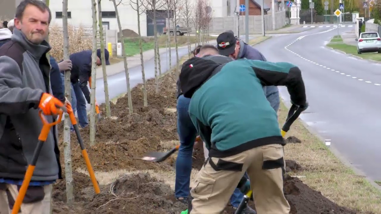 Uroczyste sadzenie drzew z okazji 35-lecia samorządu terytorialnego!