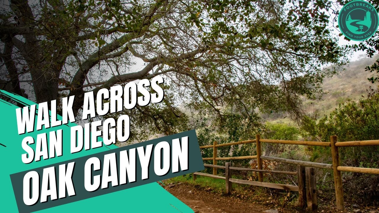 🌿 Oak Canyon Trail | Hidden Gem Hike in Mission Trails San Diego 🥾 