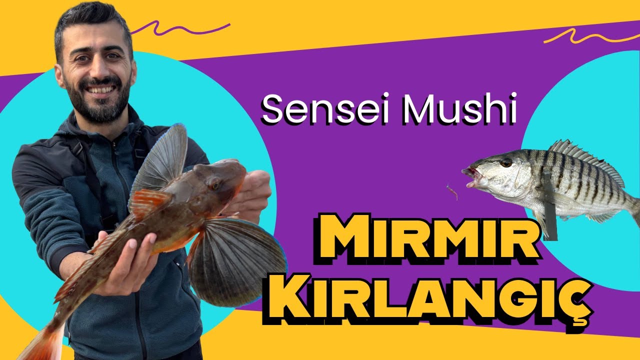 Gündüz LRF ile Mırmır Avı Denemeleri - Sensei Mushi -Kırlangıç Süpriz Oldu