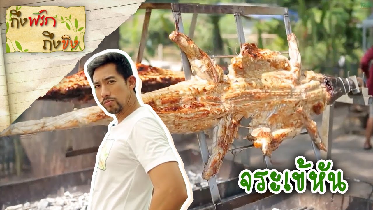 จระเข้หัน I ถึงพริกถึงขิง 16-11-18