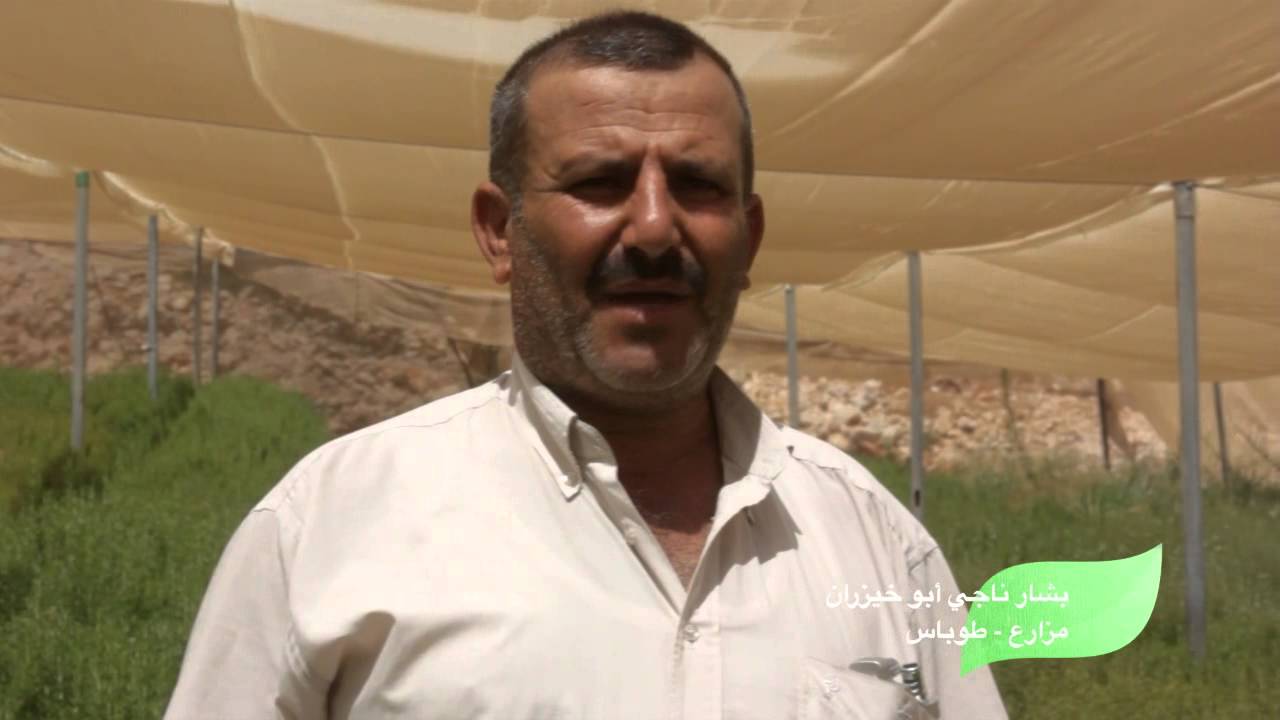 استصلاح الأراضي في فلسطين: فيلم وثائقي