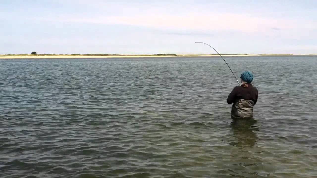 Bluefishing on Martha's Vineyard