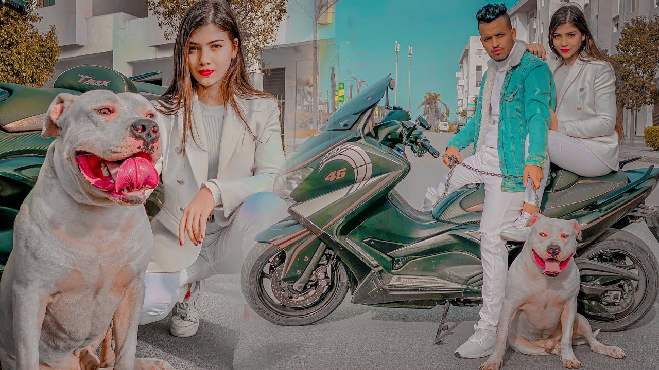 فيلم قصير / فتاة شمالية تعشق مول Tmax🥷 ( الحب . المخدرات . زواج )