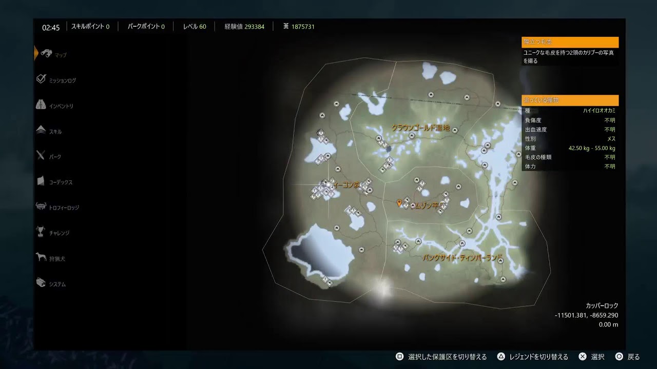 ハイイロオオカミのG1狙いながらのんびり狩り！【theHunter call of the Wild 】