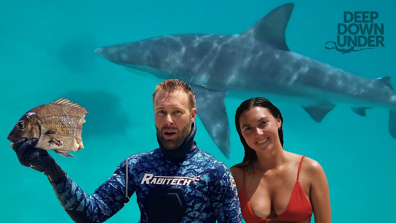 SHARK encounter SPEARFISHING in NZ