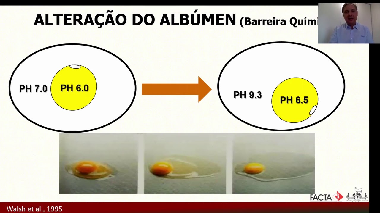 Felipe Kroetz Neto - Curso FACTA sobre Incubação de Ovos e Matrizes de Frangos de Corte