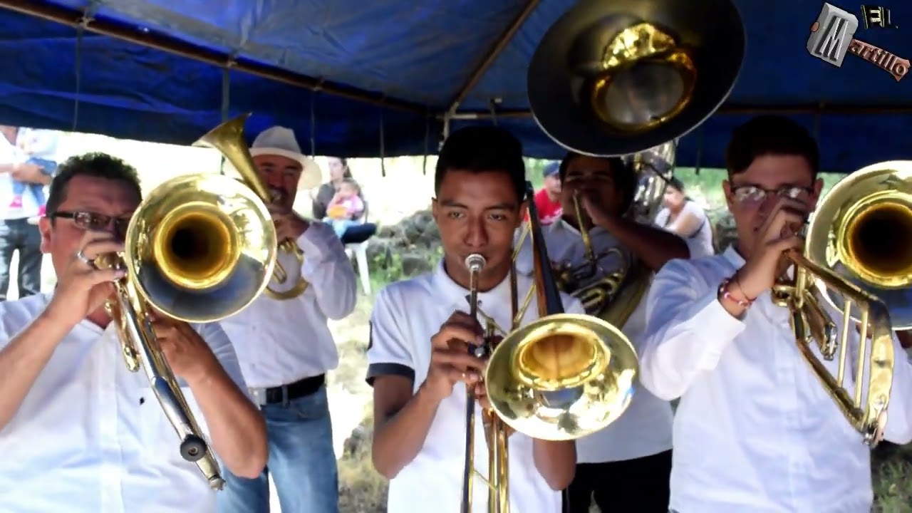 Banda los Inquietos de Ayotlan