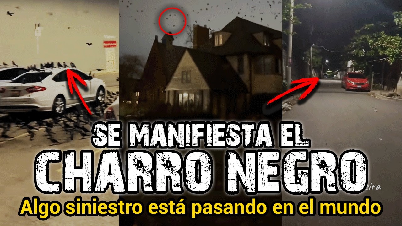 SE MANIFIESTA EL CHARRO NEGRO | ME LO ACABA DE MANDAR UN SEGUIDOR