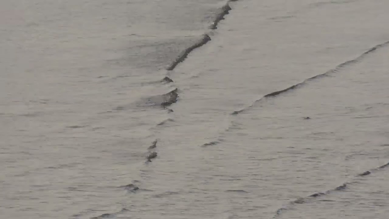 Westcliff waves - Ramsgate