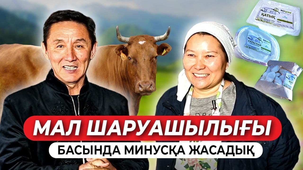 Мал шаруашылығының пайдасы! | Қалай дұрыс айналысу керек?