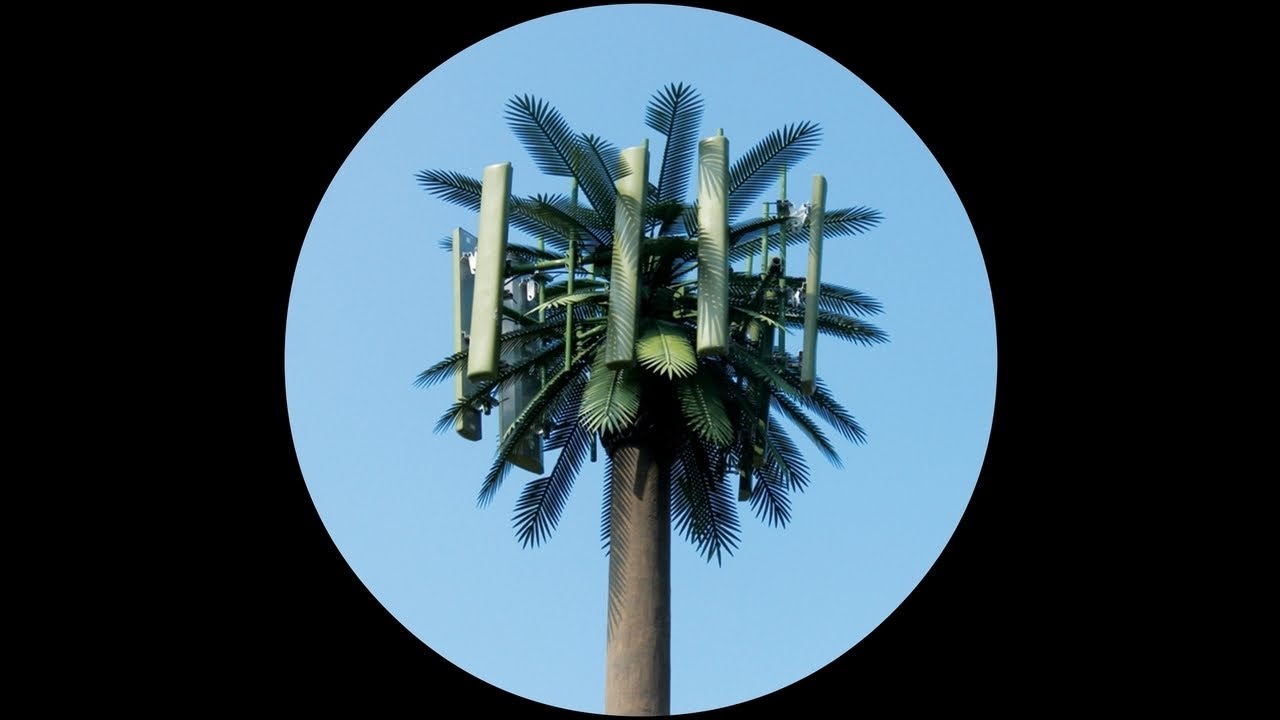 Harrison BDP - Fade Back From Reality