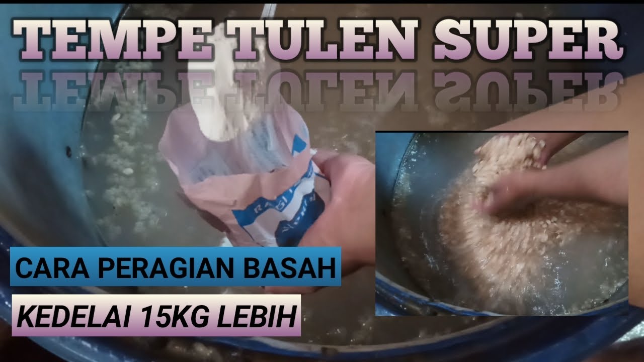 Cara Peragian Basah Kedelai 15kg || Proses Pembuatan Tempe.