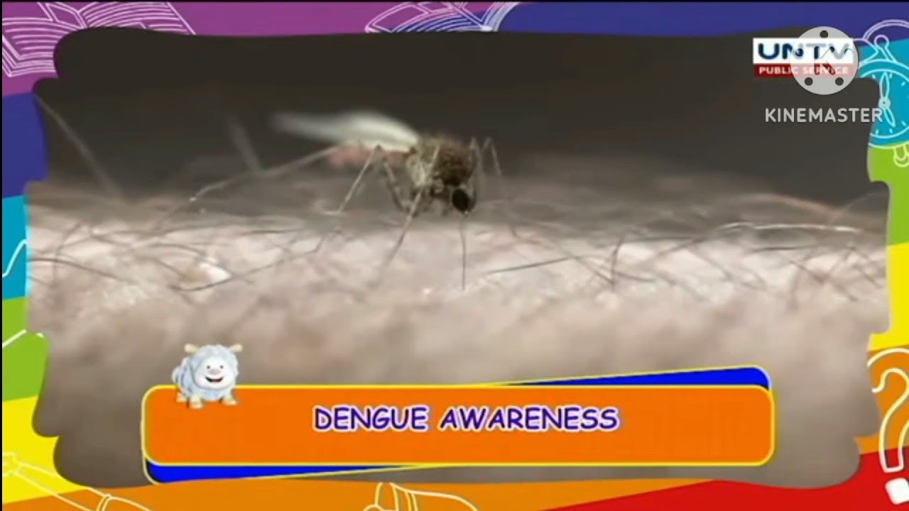This Sunday on KNC Show: Dengue Awareness