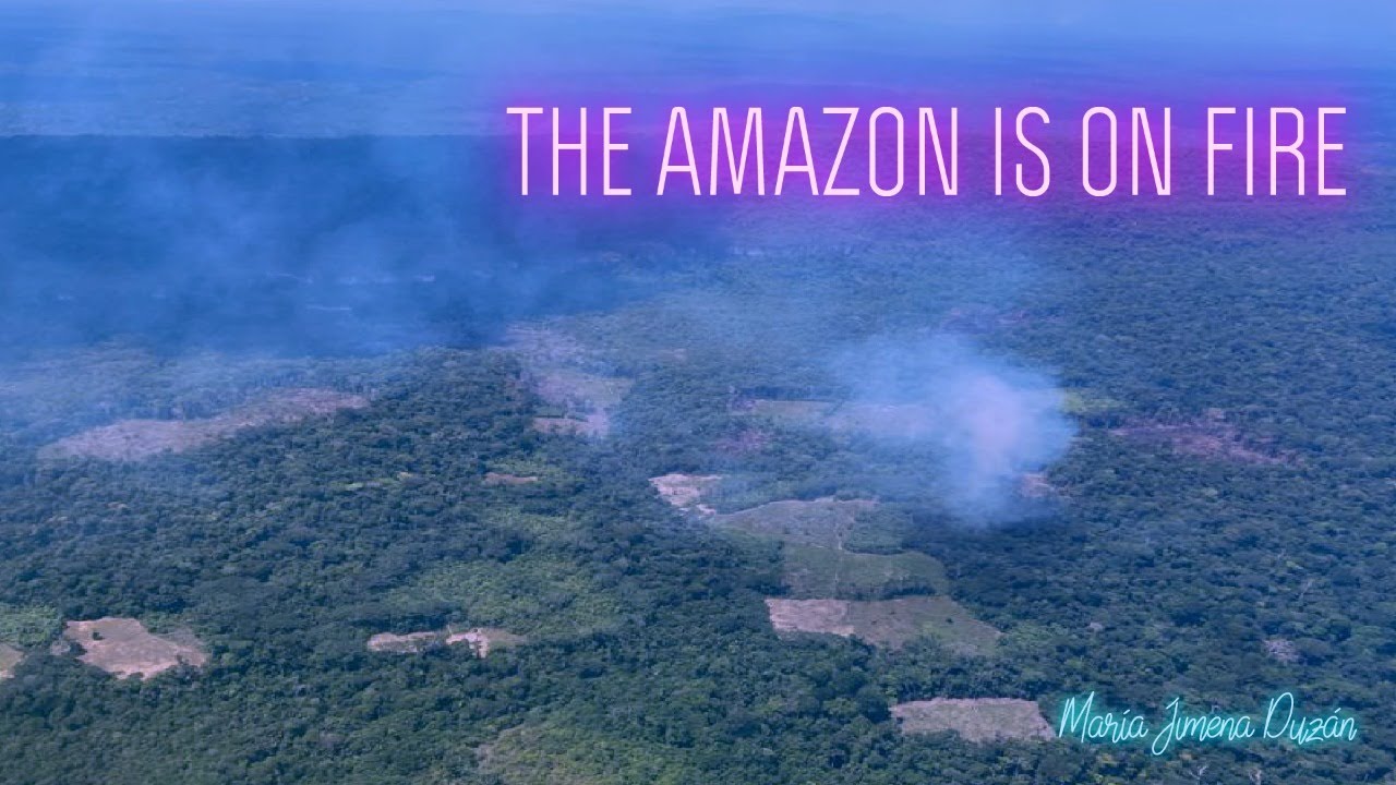 THE AMAZON IS ON FIRE | María Jimena Duzán