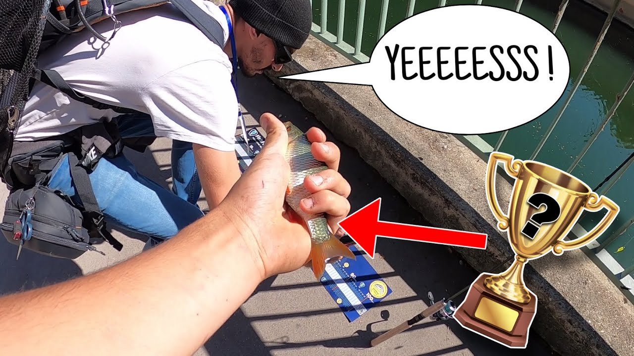 Ce petit poisson vaut EXTRÊMEMENT CHER dans cette COMPÉTITION de pêche !