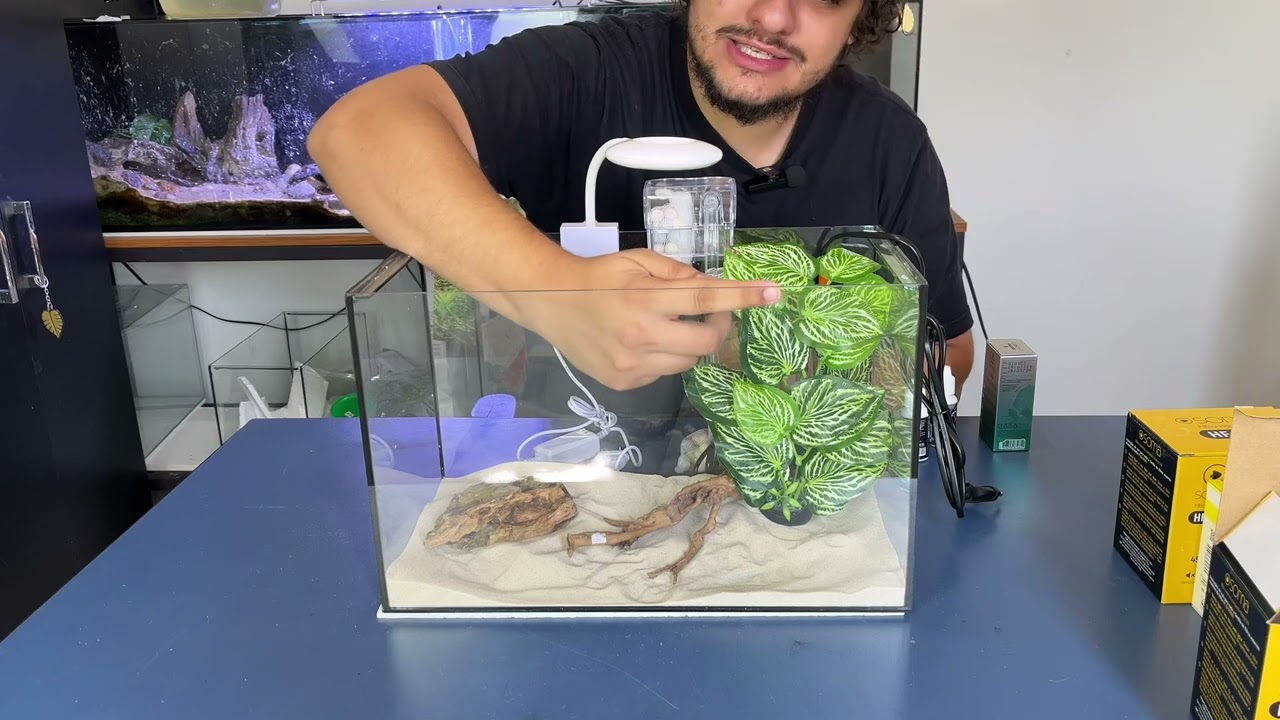 Como montar o seu Primeiro Aquário? 20 litros