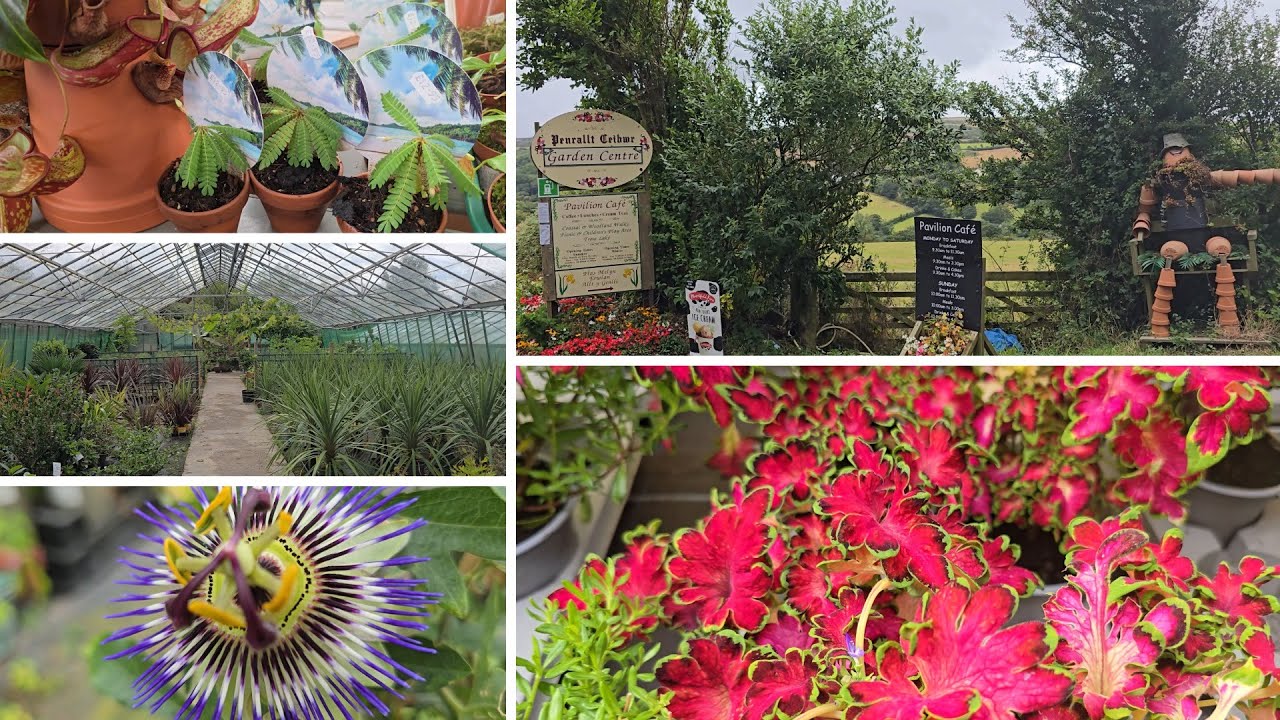 Penrallt Garden Centre Tour – A Tropical Gem in Wales!