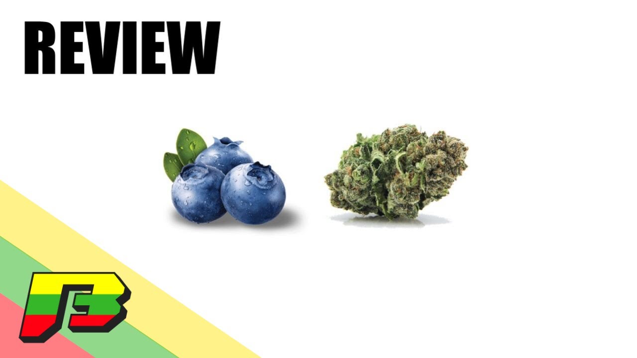 Blueberry Headband Weed Review | BammerTV