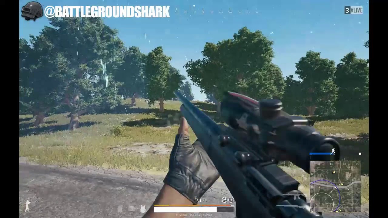 Chicken Dinner Highlights #1