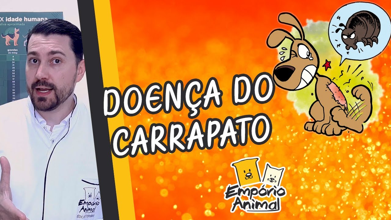 Como saber se meu cachorro tem a doença do carrapato - Erliquiose canina