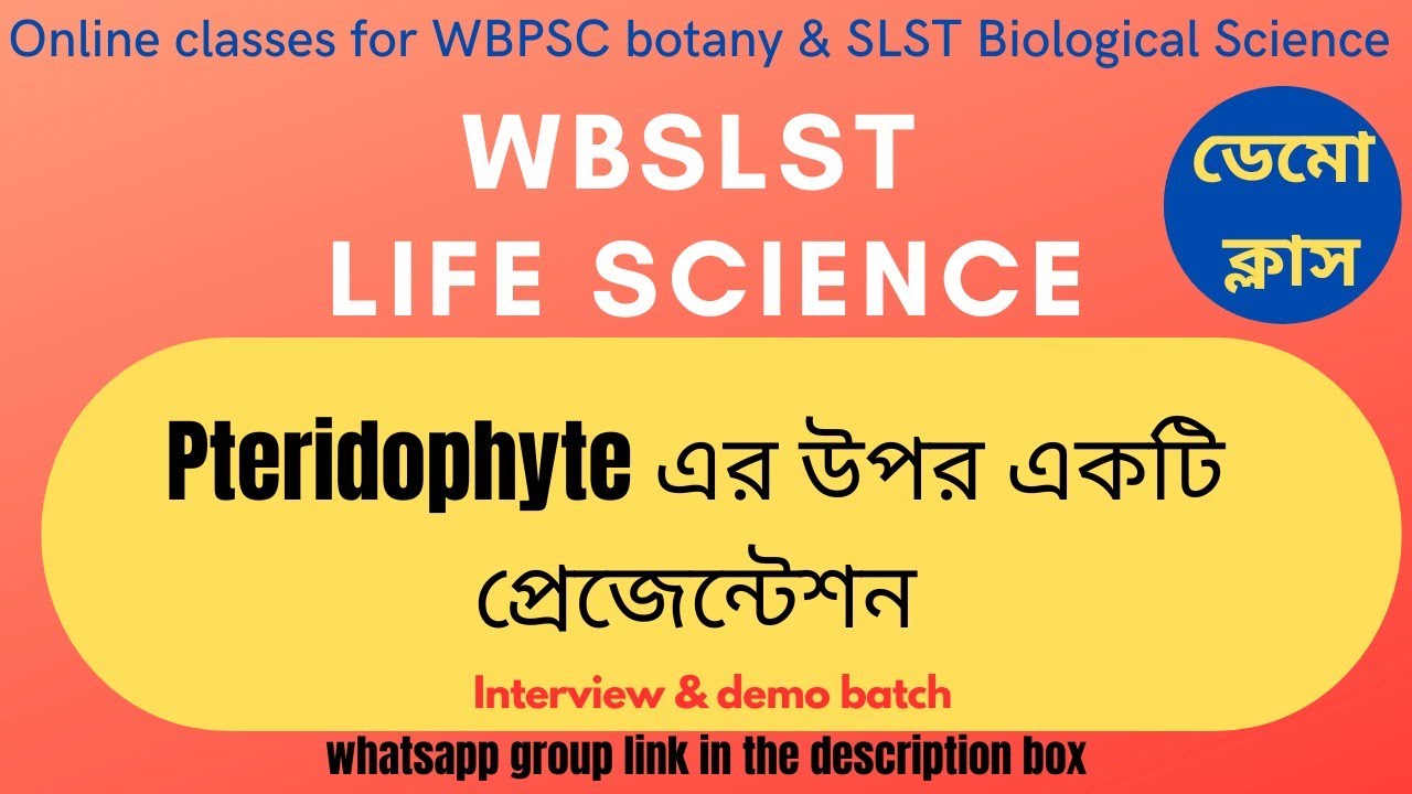 Demo on Pteridophytes || #wbslst #slst #slstpreparation #slstnews #interview