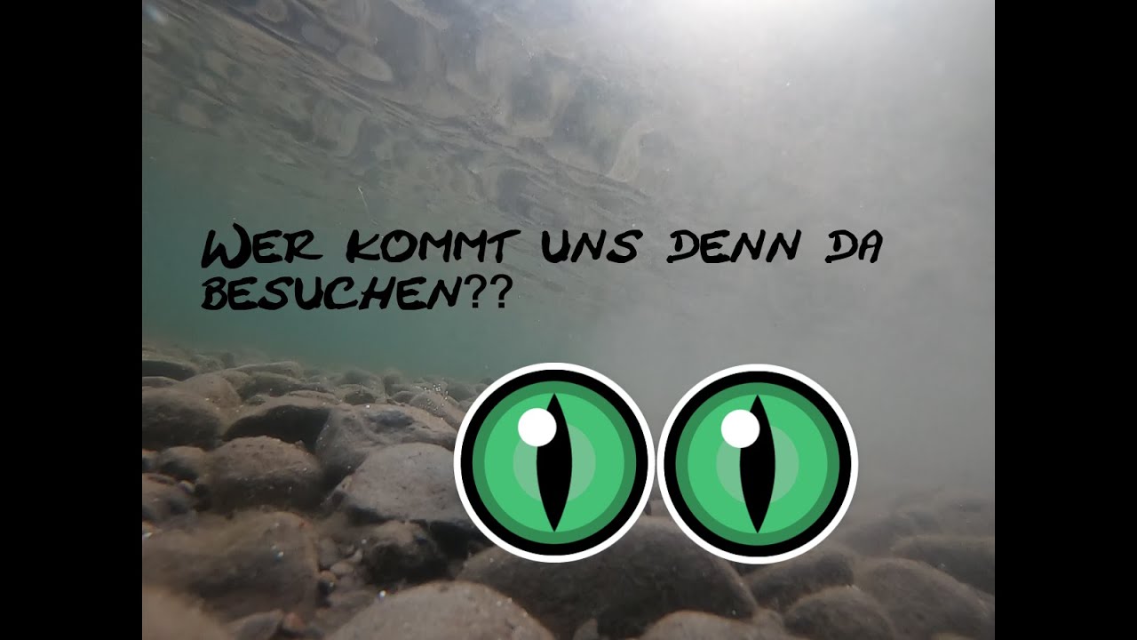Angeln am See