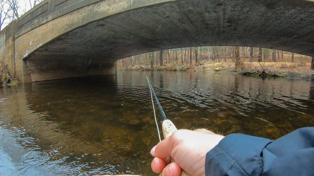 TONS of Brook Trout hiding under this BRIDGE!